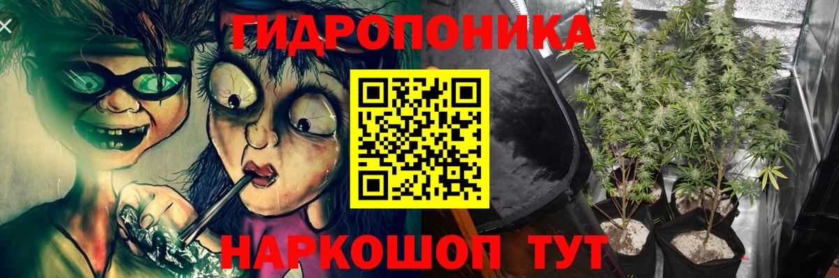 Бошки Шишки план  Бошки Шишки Ganja  Отрадное  Вход с VPN  Бошки марихуана OG Kush 